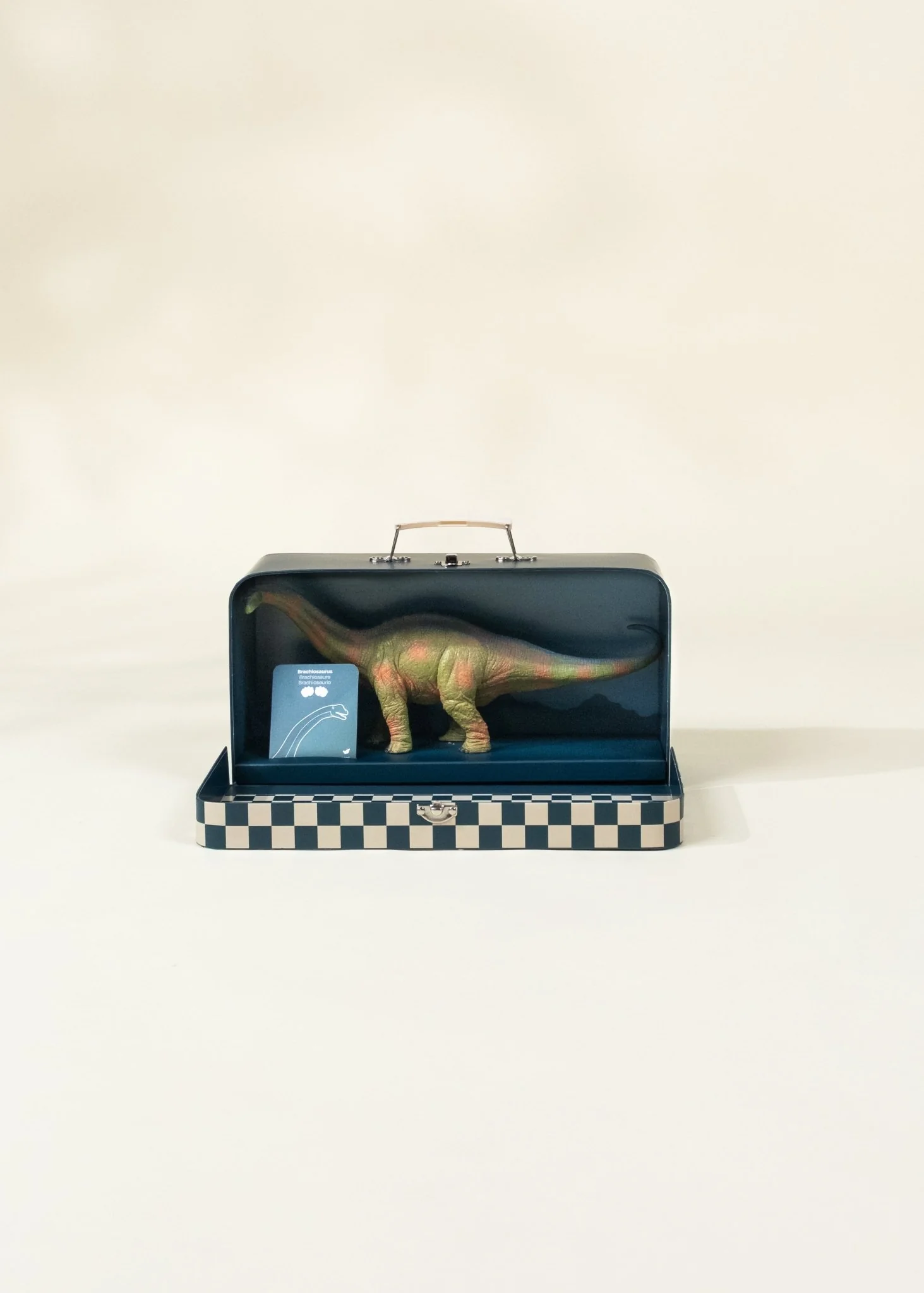 Coco Village Brachiosaurus Dinosaur in a Collectible Box - Image 3