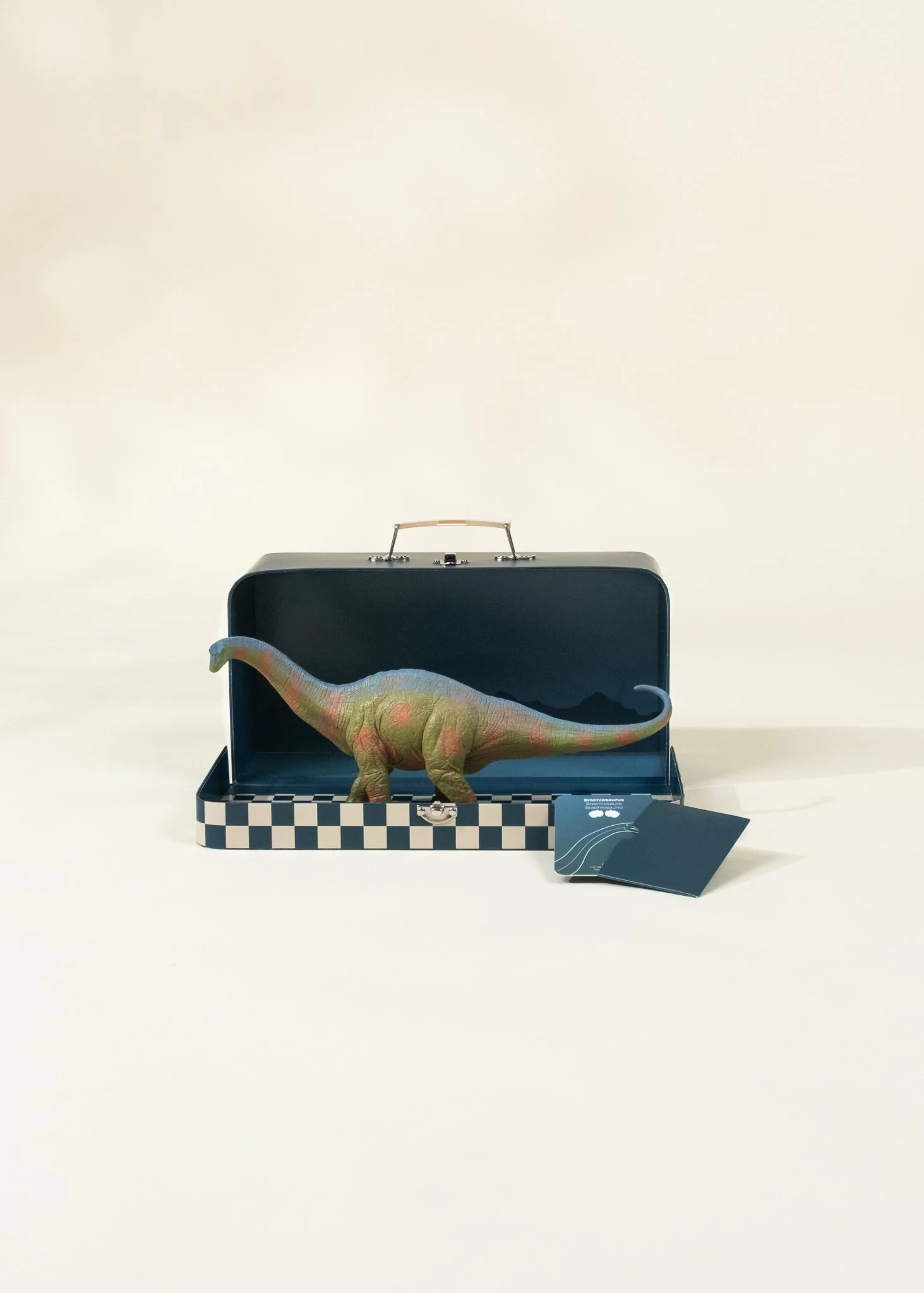 Coco Village Brachiosaurus Dinosaur in a Collectible Box - Image 4