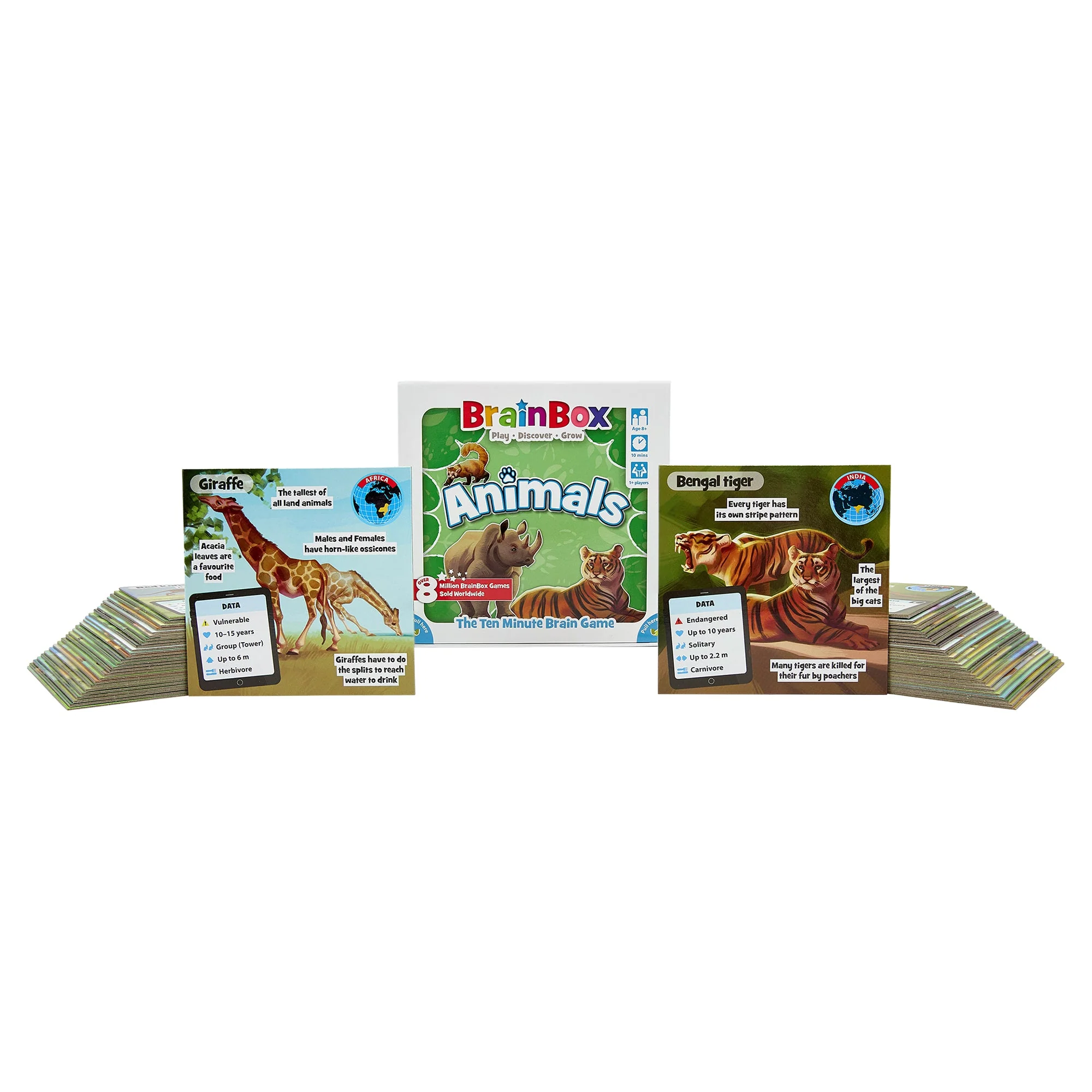 Brainbox - Animals - Image 5