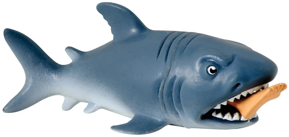 Chomp The Shark - Image 7