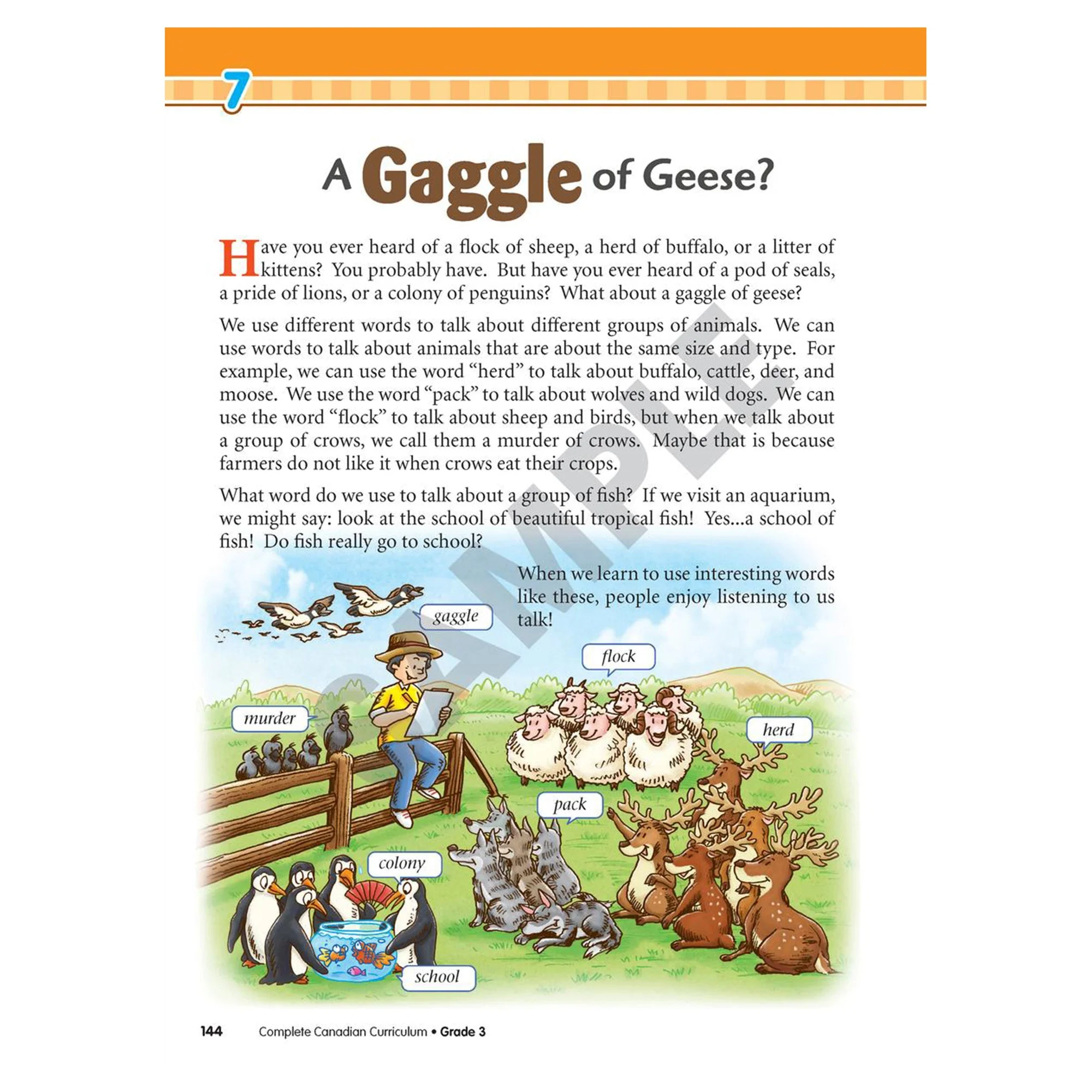 Complete Canadian Curriculum 3 - Image 3