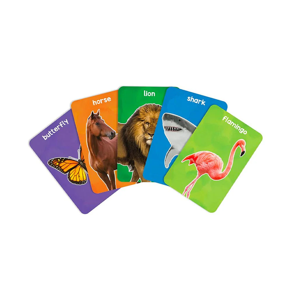 Skillmatics' First 100 Animals Flash Cards - Image 3