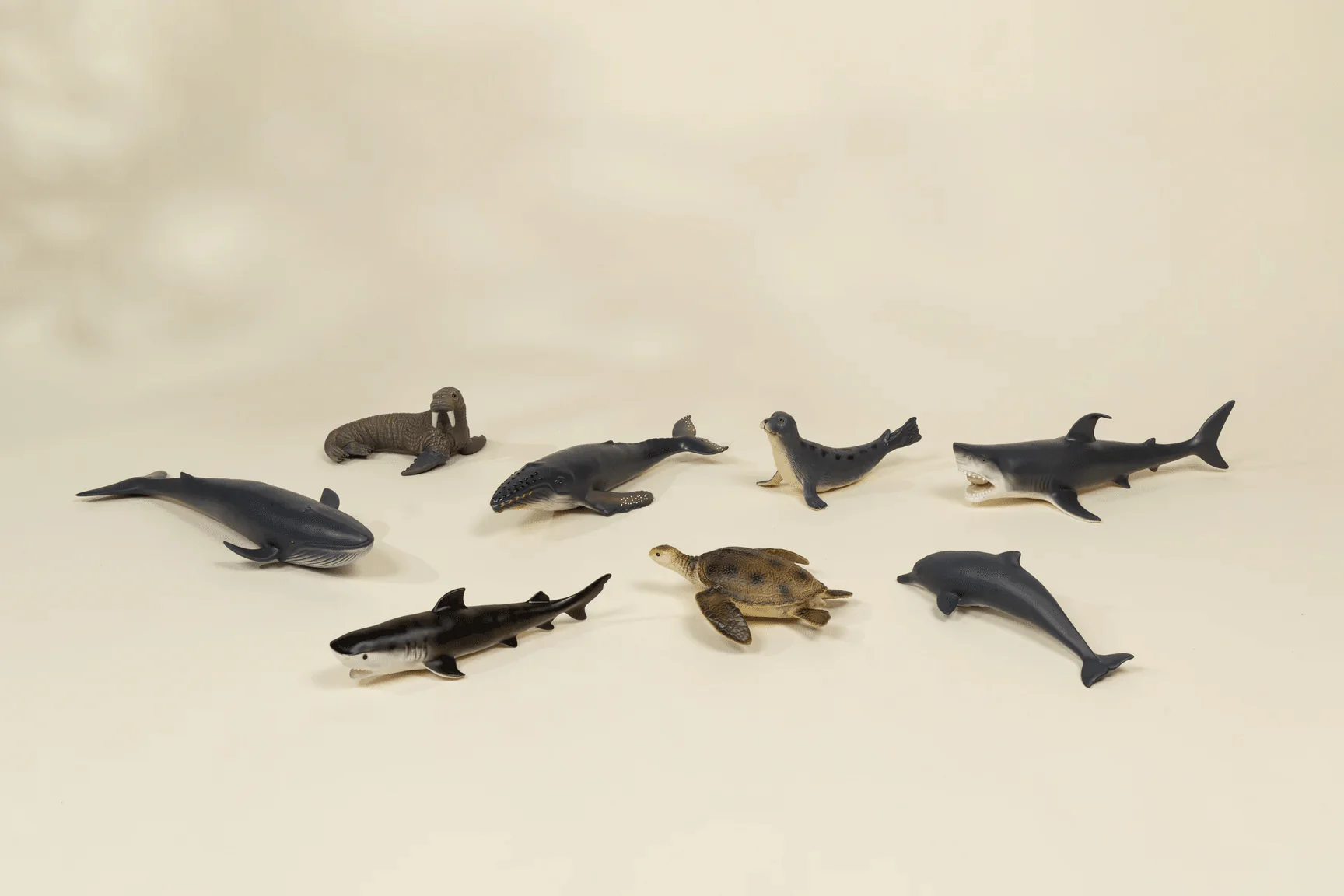 Large Sea Life Animal Play Figurine – Seal - Image 3