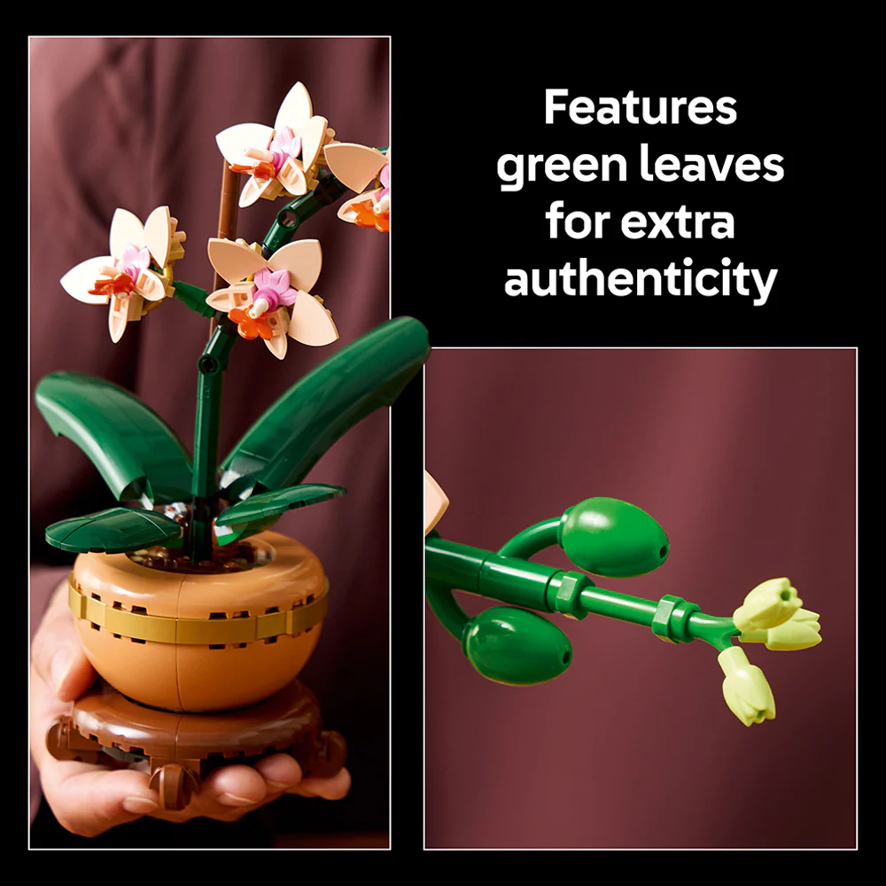 LEGO Botanicals Mini Orchid 10343 - Image 10