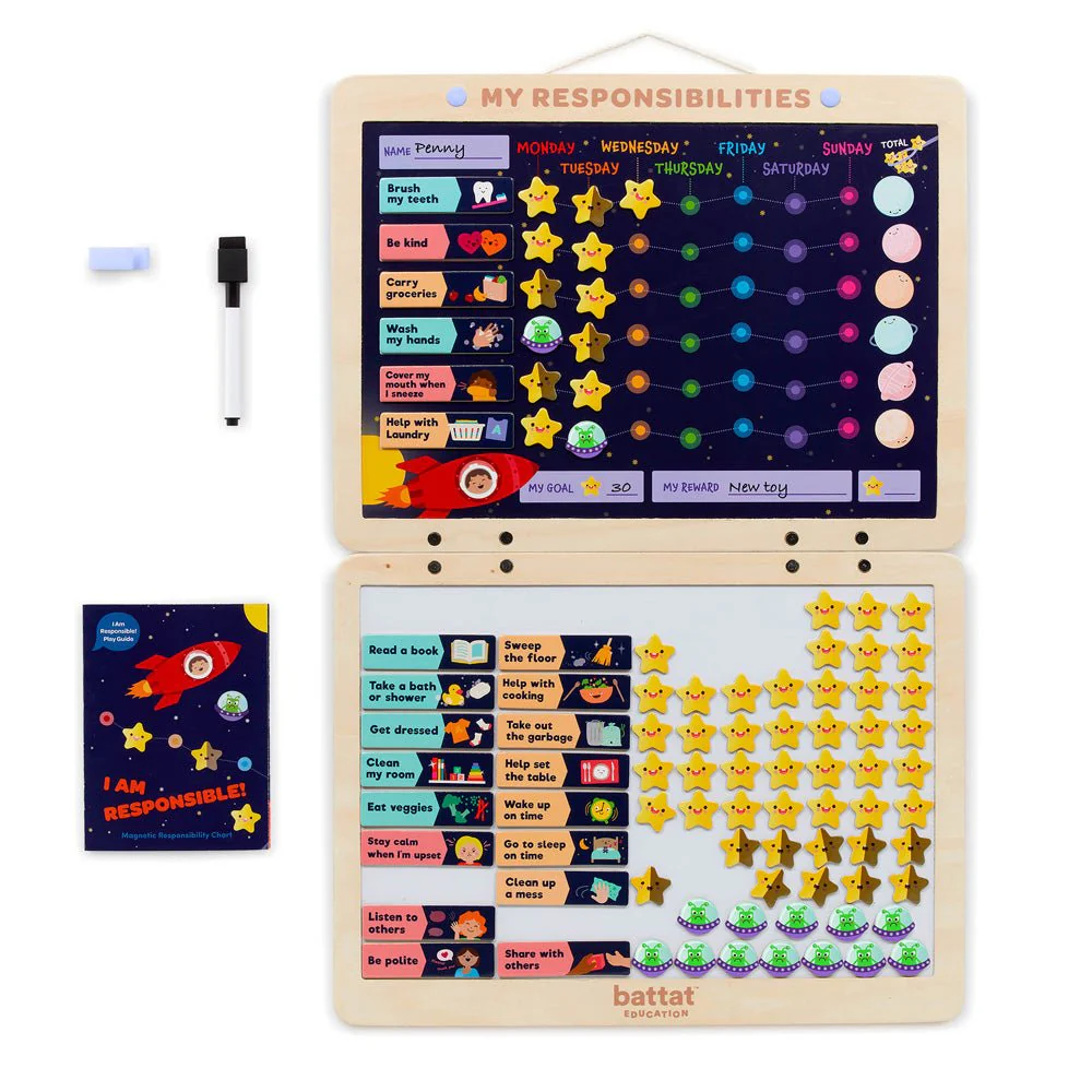 Magnetic Responsibility Chart - Image 25