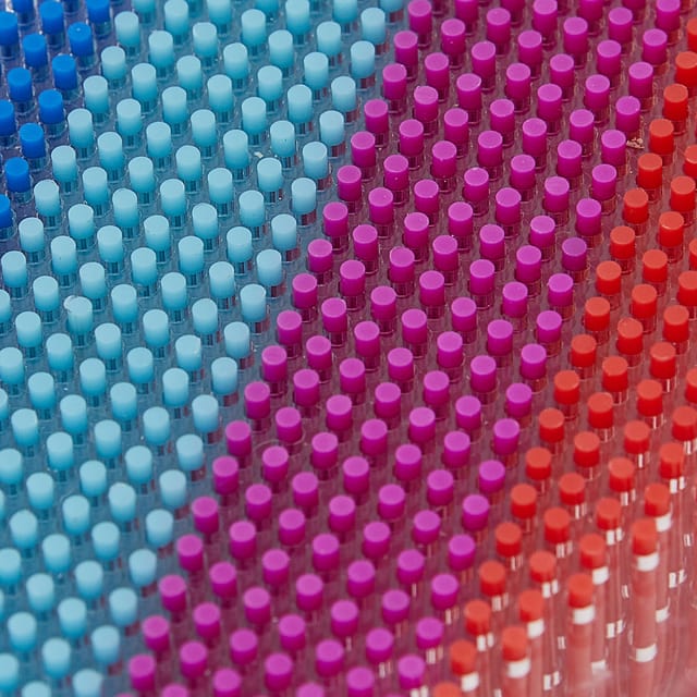 MMT Rainbow Pinart - Image 14