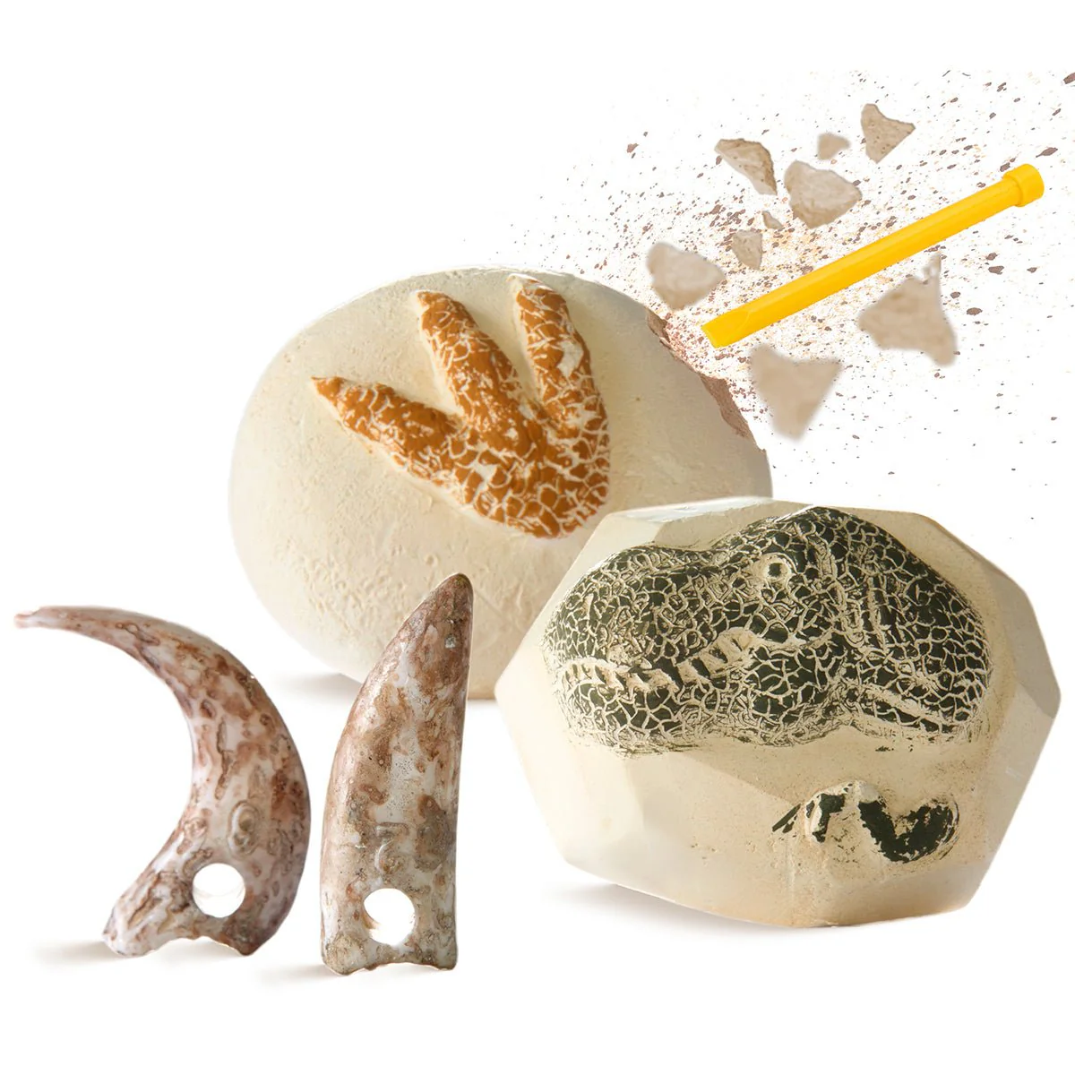 Discovery Toy Excavation Kit Dino 2pc - Image 4