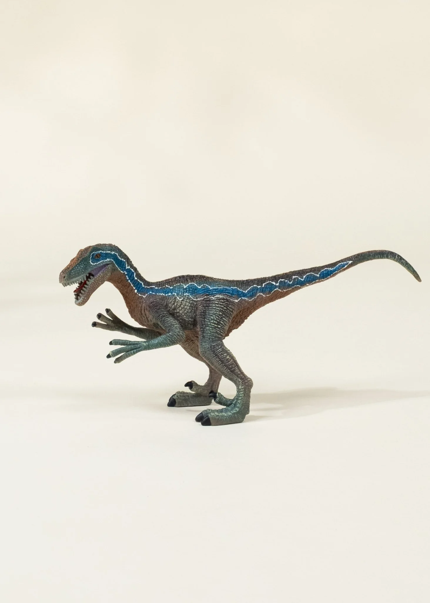 Coco Village Velociraptor Dinosaur in a Collectible Box - Image 3