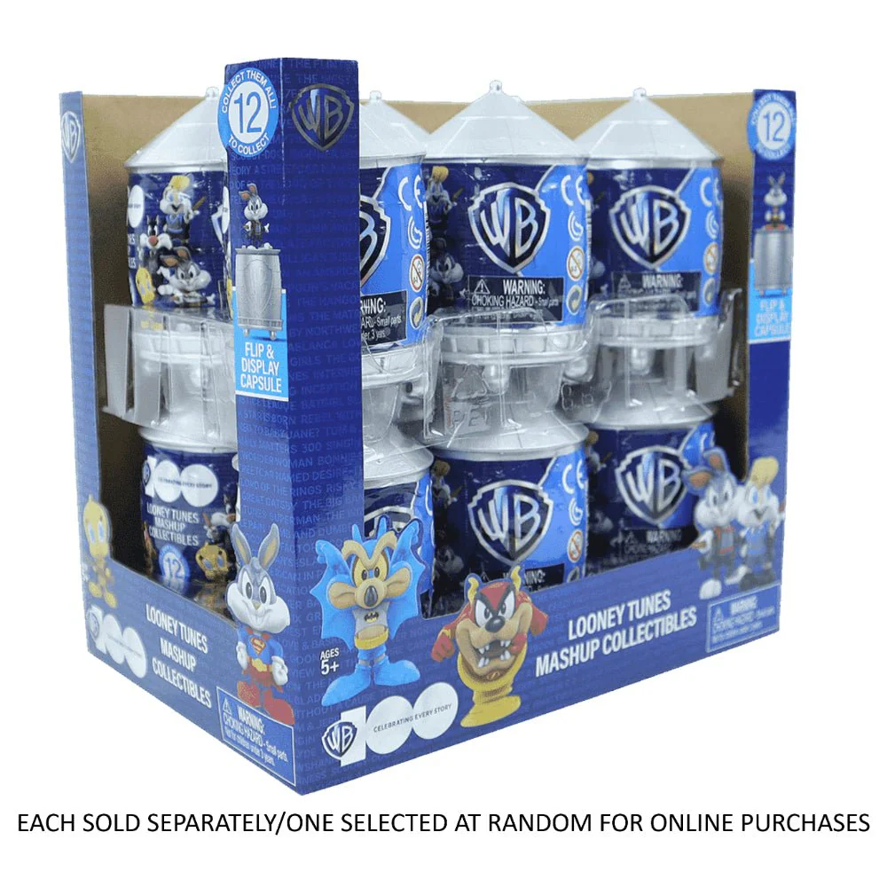 WB100 2.5" Minifigure Mashup Assorted